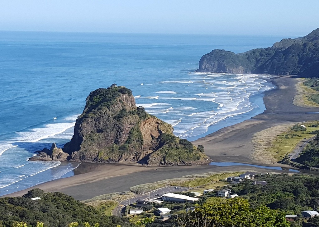 Afternoon Piha Beach and Rainforest Tour from Auckland