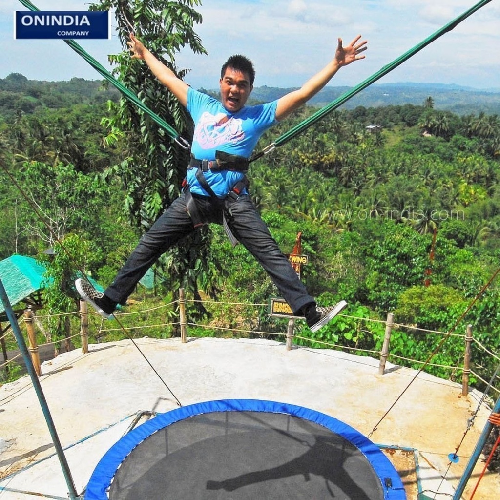 Bungee Jumping