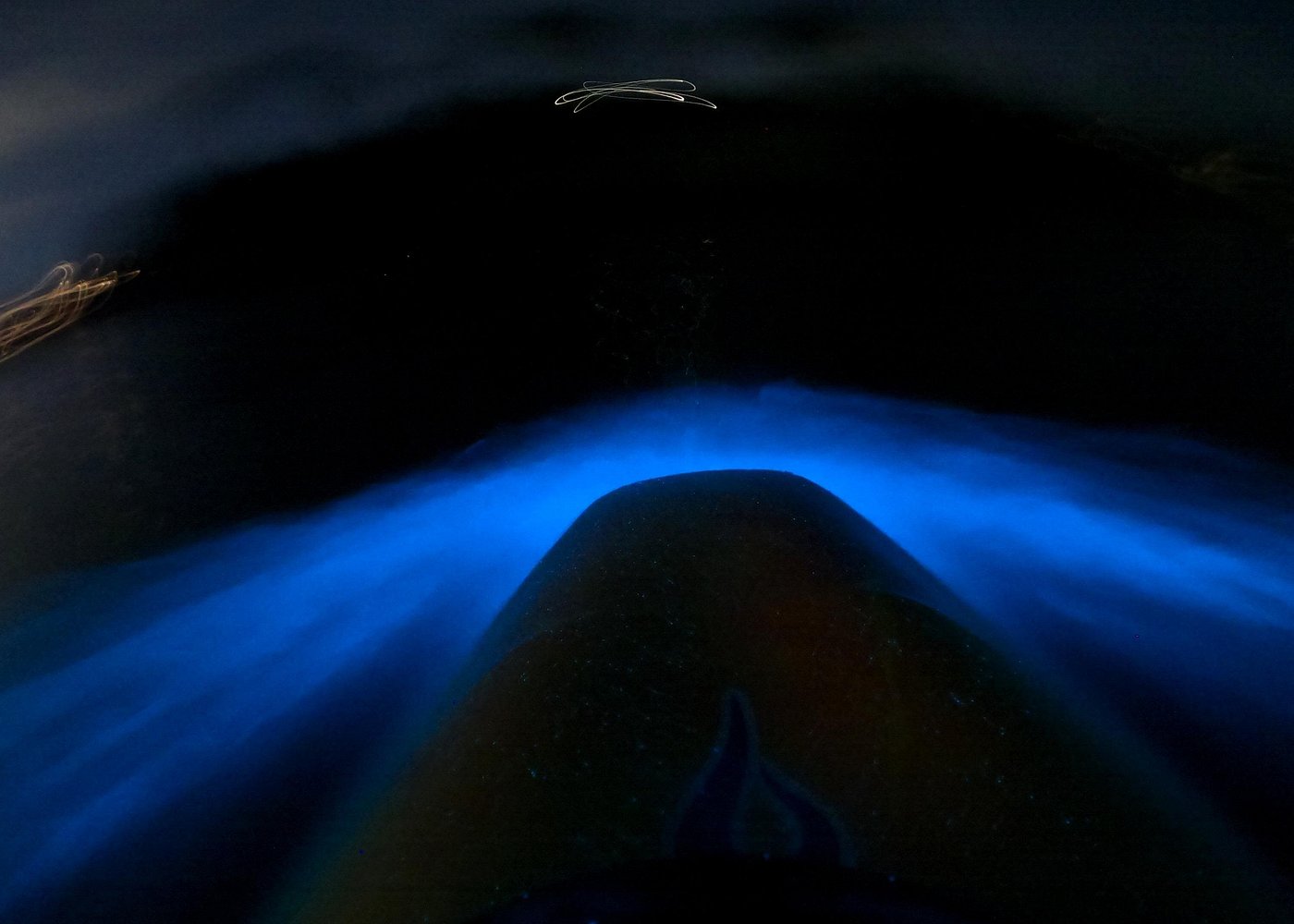 Bioluminescence Kayak Tour - Est. 1994