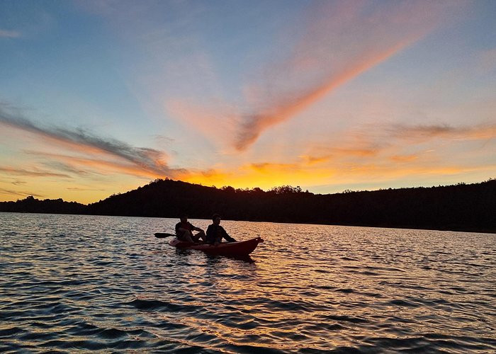 Bioluminescence Kayak Tour - Est. 1994