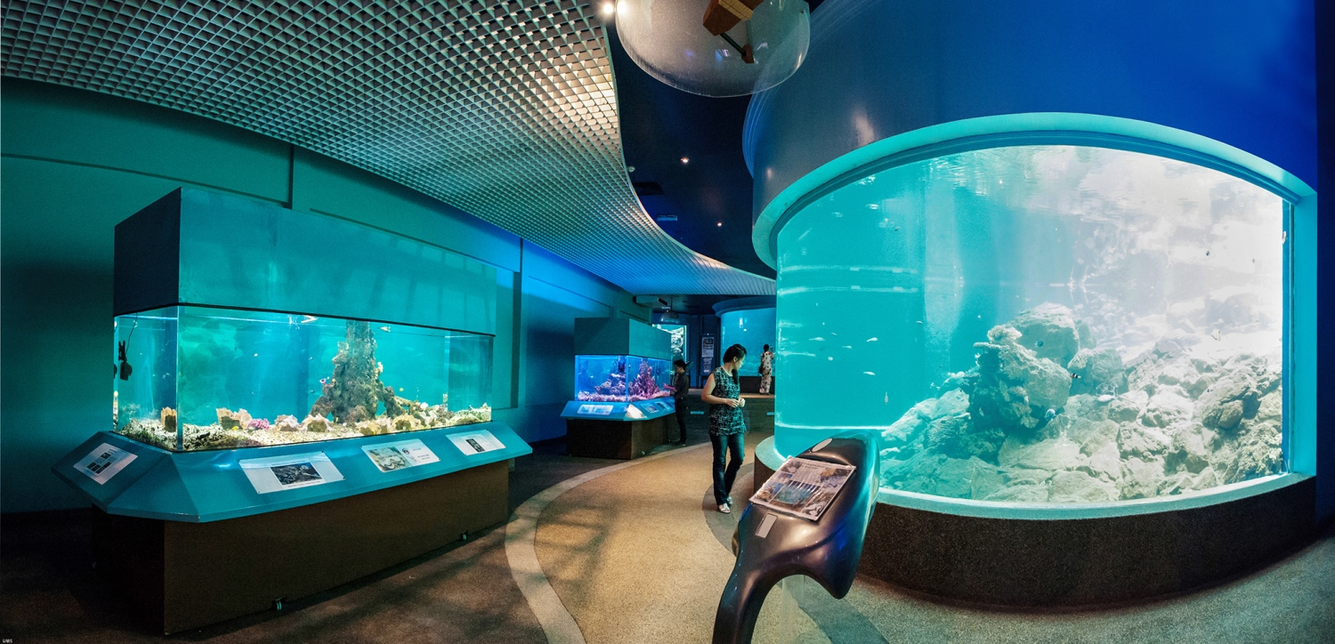 Kota Kinabalu – Sabah Museum