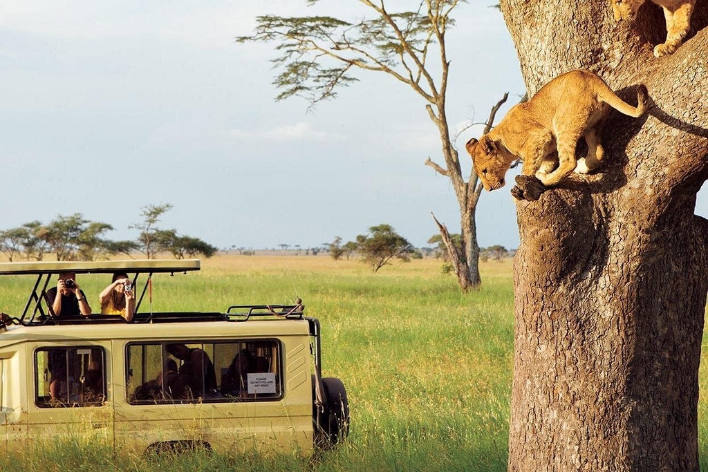 Tanzania Family Safari