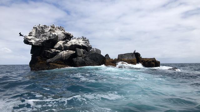 Galápagos – Central and East Islands aboard 