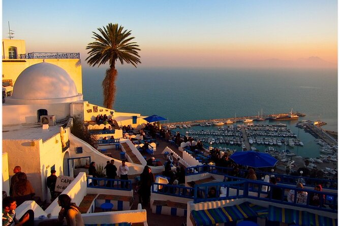 Tunisia Expedition