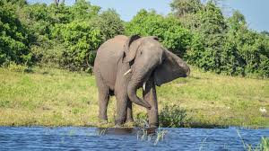 Botswana & Victoria Falls Adventure