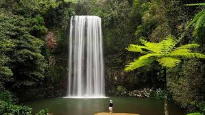 Brisbane to Cairns Adventure